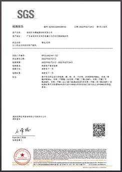 ROHS中文報告（2022）